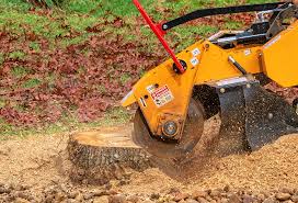 Best Tree Cabling and Bracing  in Mill Hall, PA